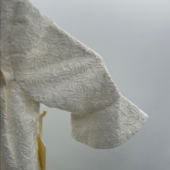 Laura Ashley Ivory Floral Lace Dress - Picture 4 of 13